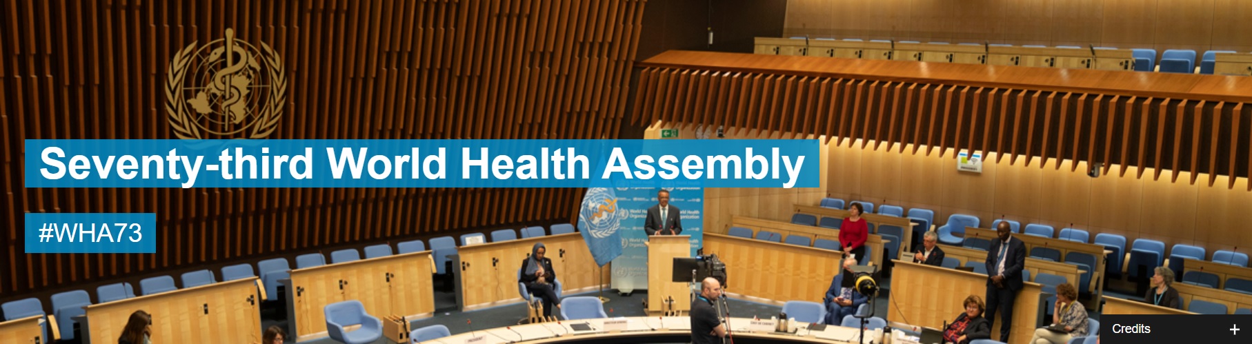 Projeto de resolução “Covid-19 Response” é aprovado na 73ª Assembleia Mundial da Saúde com a inclusão do acesso aos Cuidados Paliativos
