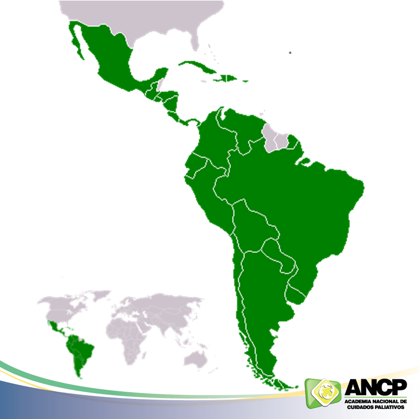 Panorama dos Cuidados Paliativos na América Latina e Brasil